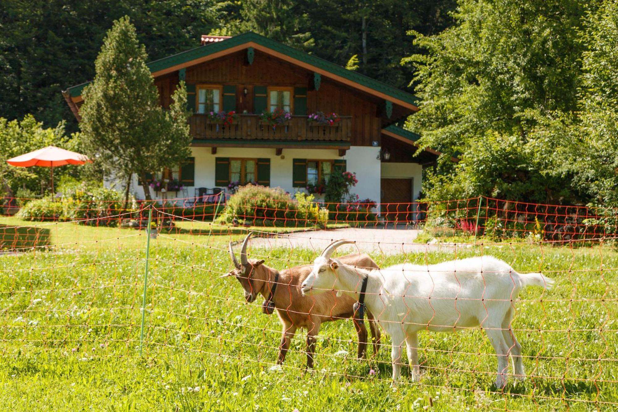 Ferienwohnung Hinterreiter Inkl. Chiemgaukarte Ruhpolding Esterno foto